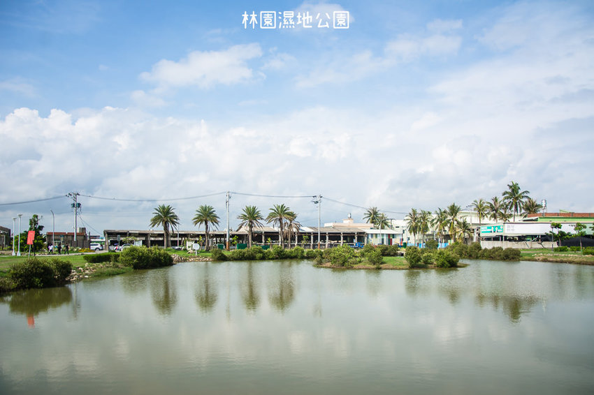 ｜高雄景點｜林園公12海洋濕地公園，全台唯一的水母瀉湖，季節對了就能看見倒立水母 - 阿婷的旅行札記。