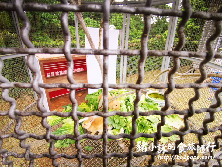 南投。竹山》海盜村景觀彩繪園區。適合網美拍照打卡的景點