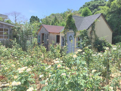 中壢景觀咖啡廳 [玫瑰山谷] 有緣姐妹淘慶生宴