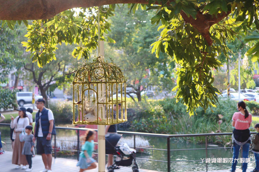 新竹美食推薦紅瓦紫藤！藏身在竹北新瓦屋小法式鄉村風格早午餐咖啡廳，浪漫氣質老闆娘一手打造