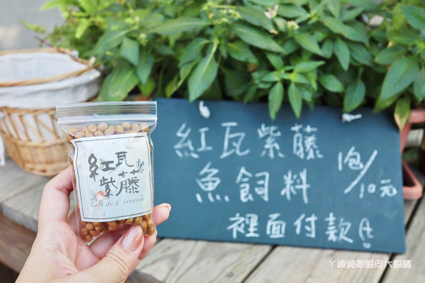 新竹美食推薦紅瓦紫藤！藏身在竹北新瓦屋小法式鄉村風格早午餐咖啡廳，浪漫氣質老闆娘一手打造