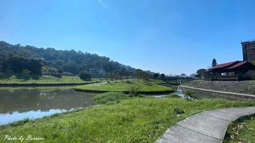 0201 2-濕地寒櫻02.jpg