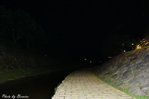 0707 1-夏日煙火濕地篇14.jpg