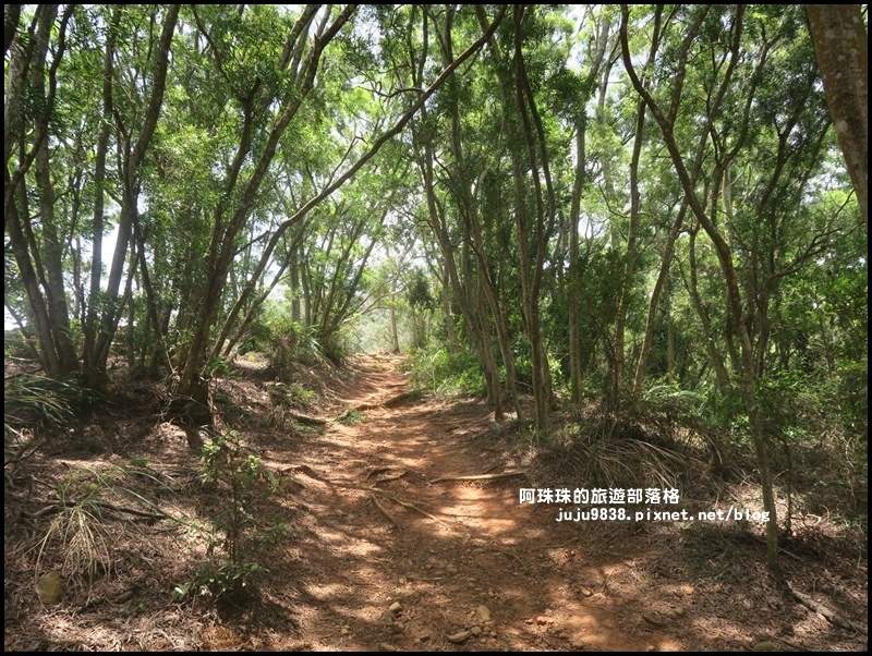 火燄山35.JPG