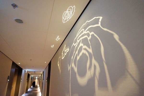 DSC04582.JPG DSC04582.JPG