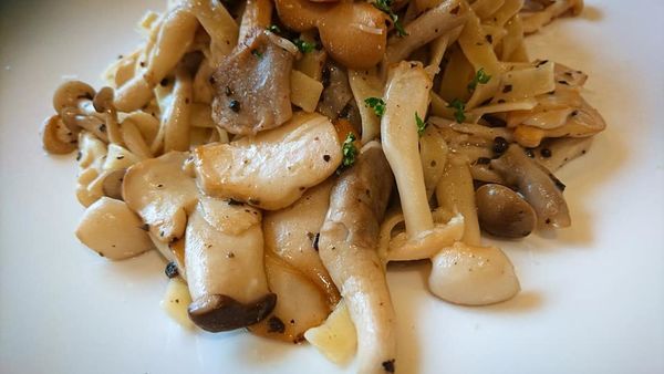 66861773_2517874828244191_7437029846355542016_n (1) 66861773_2517874828244191_7437029846355542016_n (1)