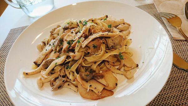 66647526_2517874651577542_2602770067074580480_n 66647526_2517874651577542_2602770067074580480_n