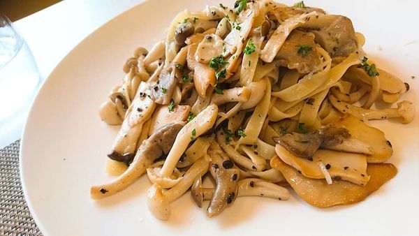 67310459_2517874704910870_4217422043722809344_n 67310459_2517874704910870_4217422043722809344_n