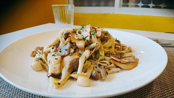 66655325_2517874758244198_4669302115644997632_n 66655325_2517874758244198_4669302115644997632_n