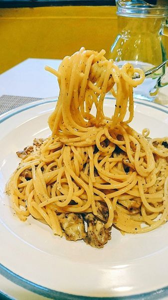 67086262_2534401373258203_5642562114603188224_n 67086262_2534401373258203_5642562114603188224_n