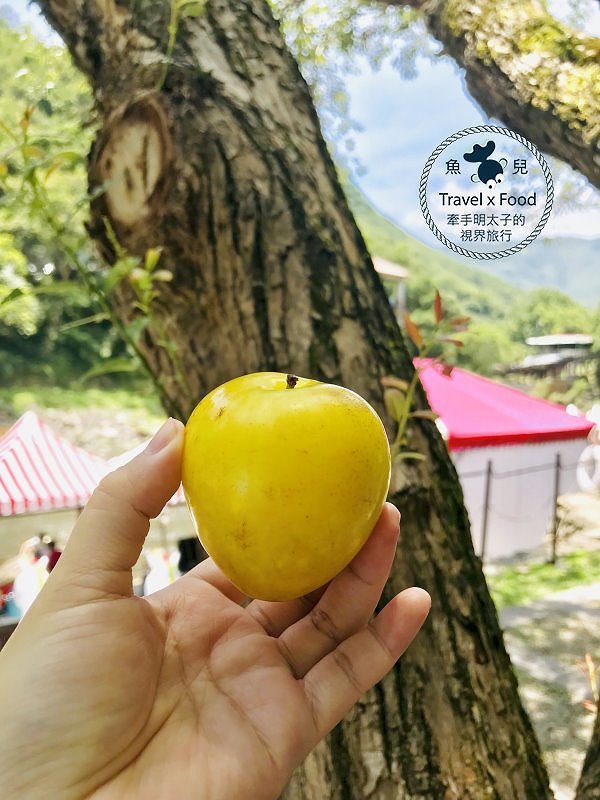 【遊】小烏來風景特定區|步道吊橋、森林浴、戲水 一日遊 @魚兒 x 牽手明太子的「視」界旅行 【遊】小烏來風景特定區|步道吊橋、森林浴、戲水 一日遊 @魚兒 x 牽手明太子的「視」界旅行