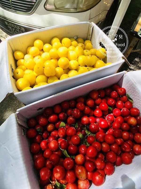 【遊】小烏來風景特定區|步道吊橋、森林浴、戲水 一日遊 @魚兒 x 牽手明太子的「視」界旅行 【遊】小烏來風景特定區|步道吊橋、森林浴、戲水 一日遊 @魚兒 x 牽手明太子的「視」界旅行
