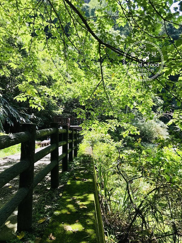 【遊】小烏來風景特定區|步道吊橋、森林浴、戲水 一日遊 @魚兒 x 牽手明太子的「視」界旅行 【遊】小烏來風景特定區|步道吊橋、森林浴、戲水 一日遊 @魚兒 x 牽手明太子的「視」界旅行