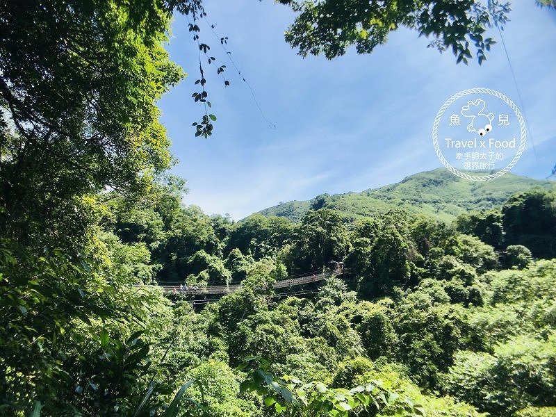 【遊】小烏來風景特定區|步道吊橋、森林浴、戲水 一日遊 @魚兒 x 牽手明太子的「視」界旅行 【遊】小烏來風景特定區|步道吊橋、森林浴、戲水 一日遊 @魚兒 x 牽手明太子的「視」界旅行