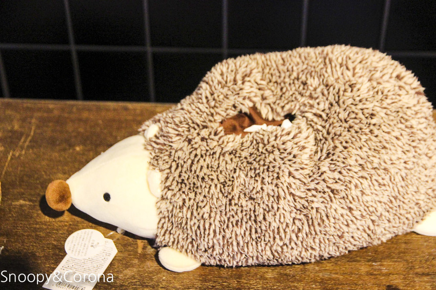 【台北咖啡館】 另類寵物咖啡館/微迷野林咖啡館~各種爬蟲類、哺乳類、兩棲類陪你喝咖啡,還能與動物近距離接觸