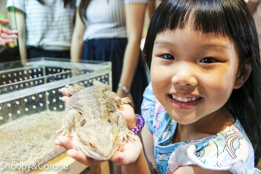 【台北咖啡館】 另類寵物咖啡館/微迷野林咖啡館~各種爬蟲類、哺乳類、兩棲類陪你喝咖啡,還能與動物近距離接觸