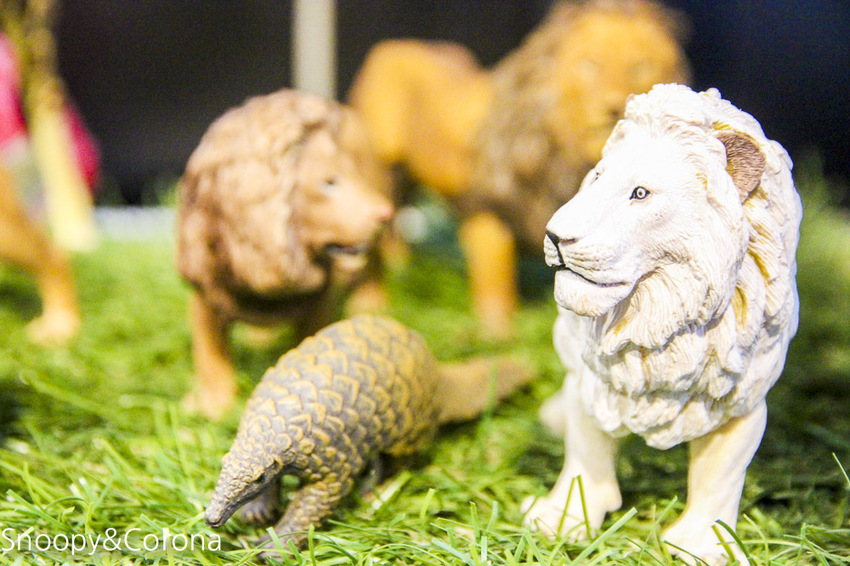 【台北咖啡館】 另類寵物咖啡館/微迷野林咖啡館~各種爬蟲類、哺乳類、兩棲類陪你喝咖啡,還能與動物近距離接觸