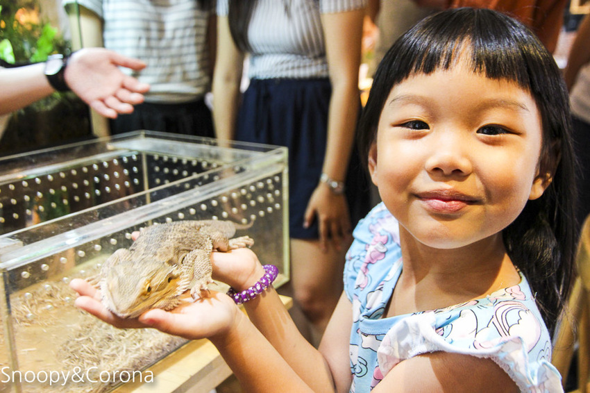 【台北咖啡館】 另類寵物咖啡館/微迷野林咖啡館~各種爬蟲類、哺乳類、兩棲類陪你喝咖啡,還能與動物近距離接觸