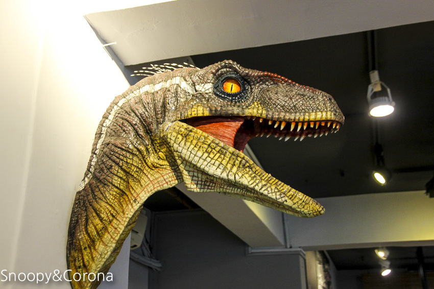 【台北咖啡館】 另類寵物咖啡館/微迷野林咖啡館~各種爬蟲類、哺乳類、兩棲類陪你喝咖啡,還能與動物近距離接觸