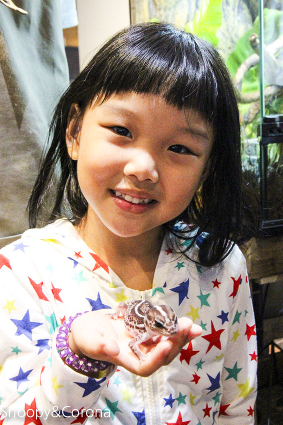 【台北咖啡館】 另類寵物咖啡館/微迷野林咖啡館~各種爬蟲類、哺乳類、兩棲類陪你喝咖啡,還能與動物近距離接觸