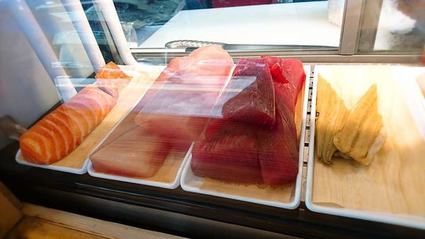 67167053_2523614591003548_2990857500850388992_n 67167053_2523614591003548_2990857500850388992_n