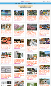 海綿飽飽的鳳梨城堡的旅遊牆