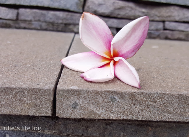 Stay｜台南安平｜餘光．台南漁光島民宿—安平海邊的寧靜角落，親子兩天一夜放鬆輕旅行