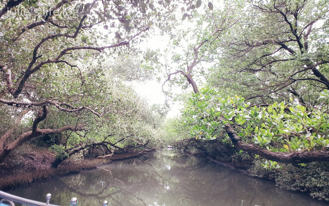 Stay｜台南安平｜餘光．台南漁光島民宿—安平海邊的寧靜角落，親子兩天一夜放鬆輕旅行