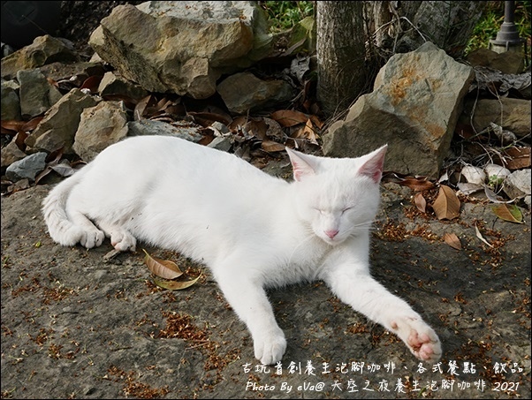 養生泡腳咖啡-11.jpg 養生泡腳咖啡-11.jpg