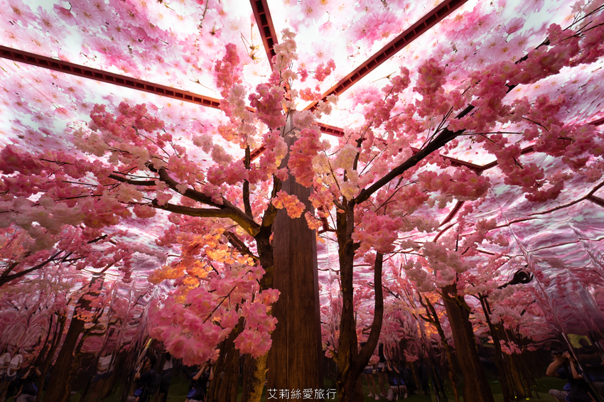 展覽》幻‧彩‧影 萬花筒特展 親身走進萬花筒的華麗世界 華山文創園區 - 艾莉絲愛旅行