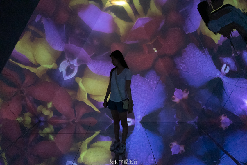 展覽》幻‧彩‧影 萬花筒特展 親身走進萬花筒的華麗世界 華山文創園區 - 艾莉絲愛旅行