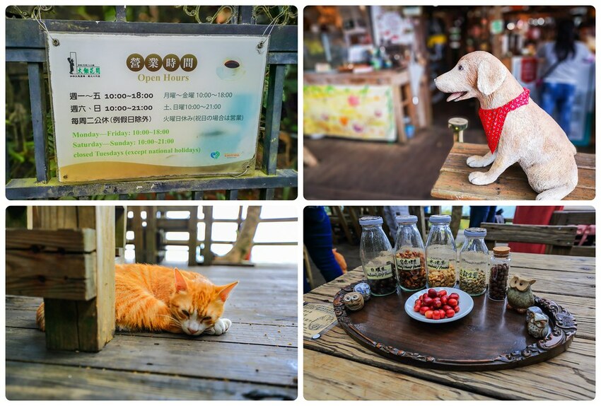 IMG_20210419_105013-tile