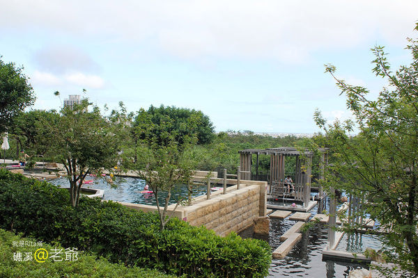 IMG_8766.jpg IMG_8766.jpg