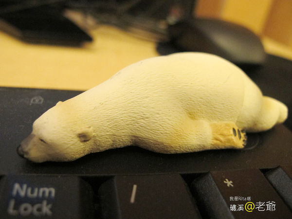 IMG_1591.jpg IMG_1591.jpg