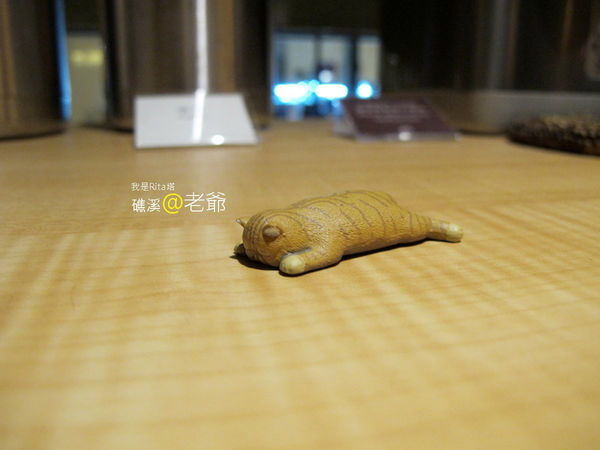 IMG_1581.jpg IMG_1581.jpg