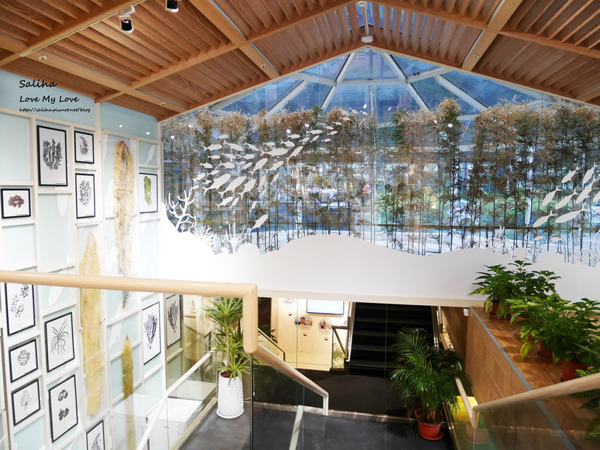 台北松山區八德路餐廳推薦京華城附近中華海洋生技褐藻鱸魚 (1)