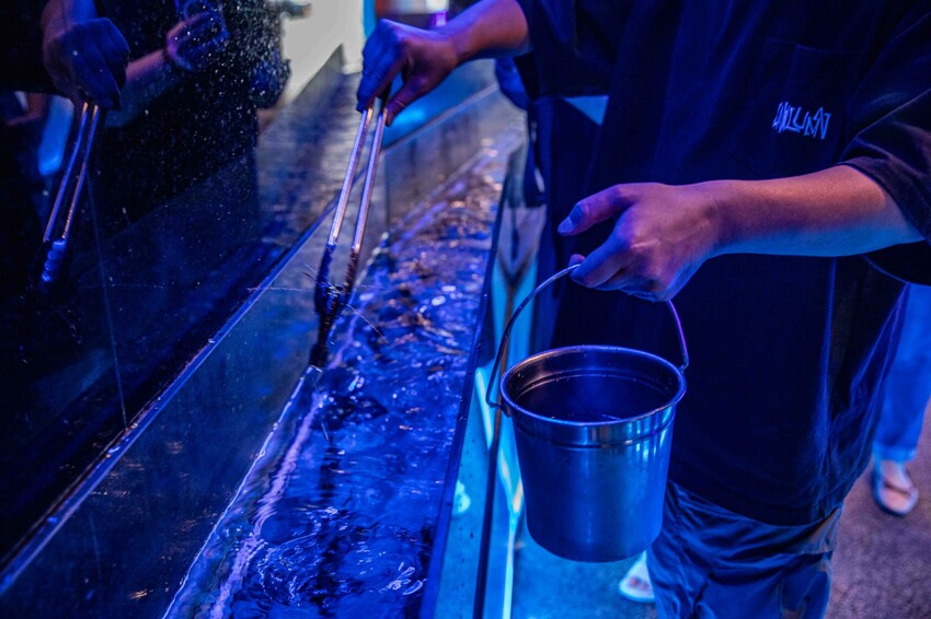 桃園蘆竹燒肉吃到飽！大漠紅頂級和牛海鮮饗宴，松葉蟹干貝、泰國蝦吃到飽。