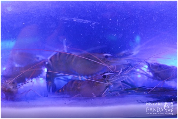 大漠紅頂級燒肉-南崁店 (63)