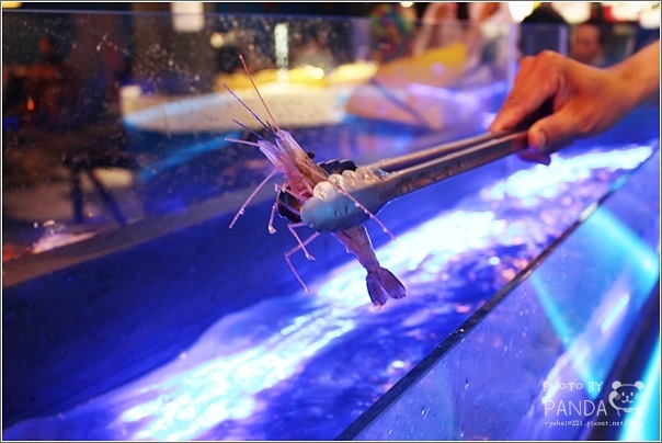 大漠紅頂級燒肉-南崁店 (64)