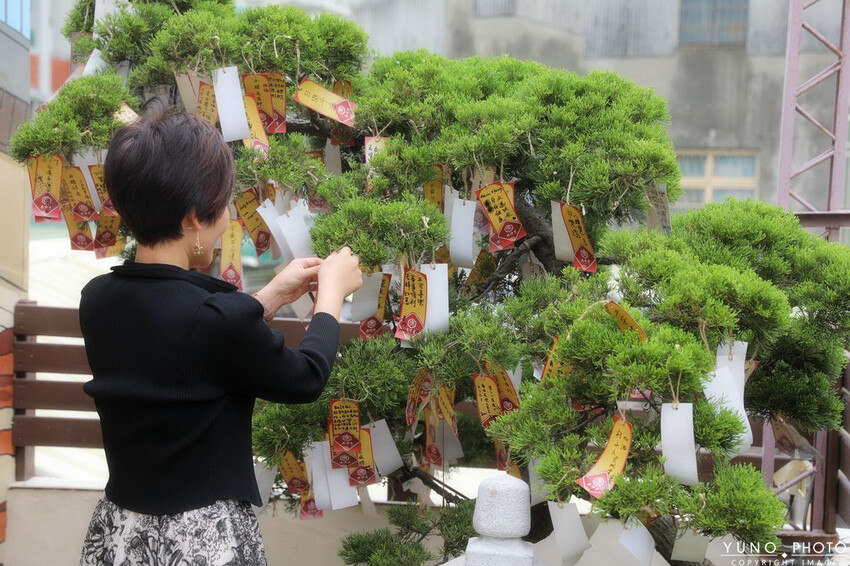 雲林縣虎尾鎮日式老宅 憨吉控必吃甜點！台灣唯一地瓜糕點 限定散步下午茶美食「虎月燒」一吃就愛上｜虎珍堂(雲林虎尾中