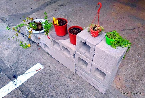 Coffee , deserts & dishes shop at Nangang, Taipei, Taiwan, SJKen, Sep 22,2019