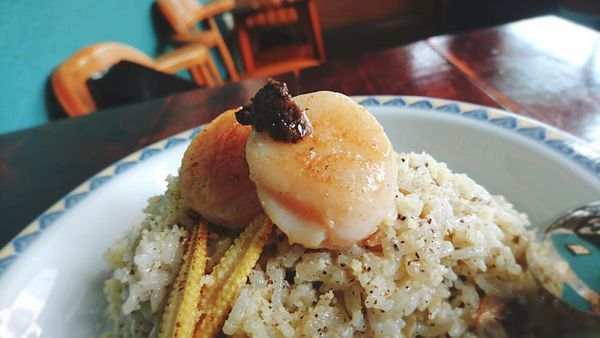 67479452_2523389657692708_3982708635116503040_n