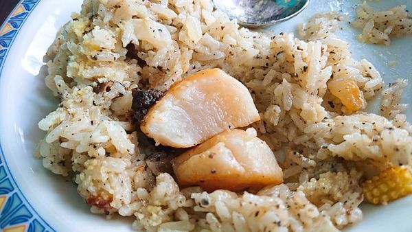 66788080_2523389787692695_599738521565003776_n