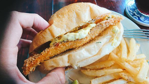 66594222_2516599441705063_6092156692693254144_n