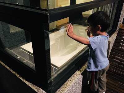 [澎湖住宿] 沐光之居民宿｜設計感飯店風格民宿，穿透大面玻璃窗欣賞無敵海景，享受浪漫海洋假期