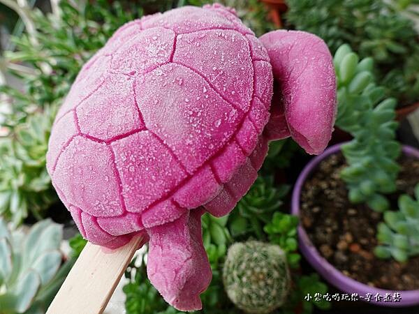 桑椹海龜冰棒-允好嘉 (2).jpg