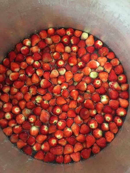 小琉球美食-允好嘉草莓冰淇淋 (3).jpg