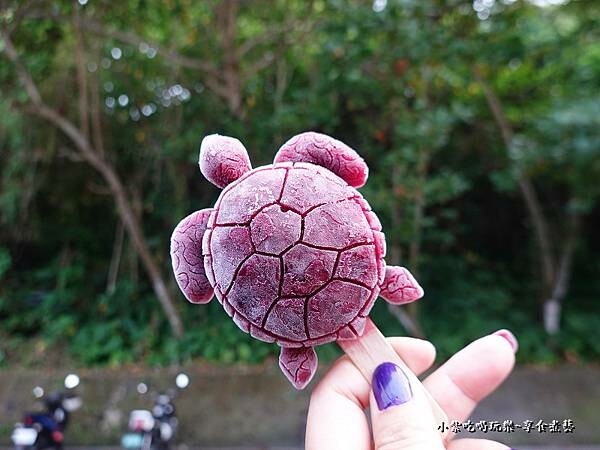 桑椹海龜冰-2022小琉球允好嘉 (2).jpg
