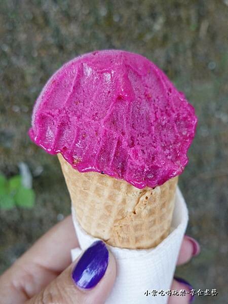 草莓仙人掌冰淇淋-2022小琉球允好嘉 (1).jpg
