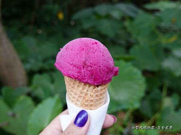 草莓仙人掌冰淇淋-2022小琉球允好嘉 (2).jpg